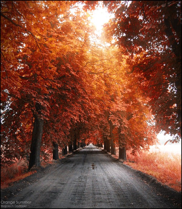 Красивые фото природы