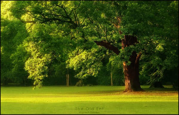 Красивые фото природы