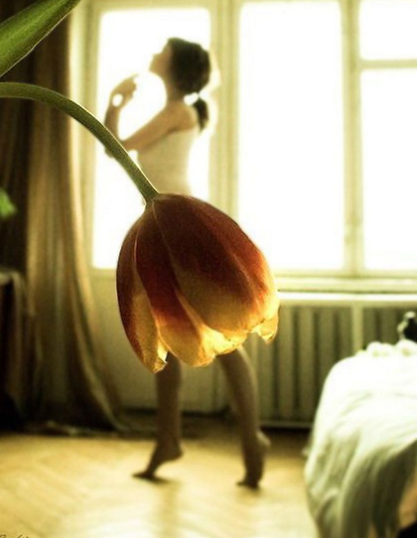 Креативные фото без использования фотошопа Креативные фото без использования фотошопа