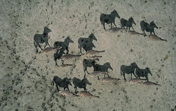 Креативные фото без использования фотошопа Креативные фото без использования фотошопа