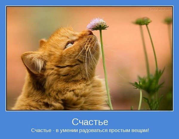 Мотиваторы 