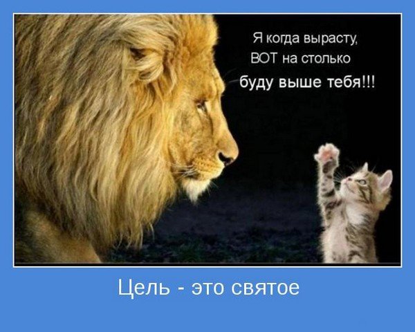 Мотиваторы 