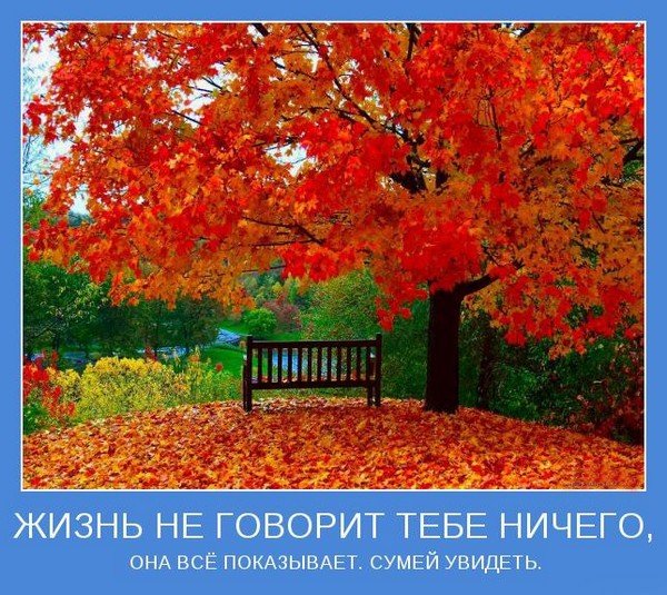 Мотиваторы 