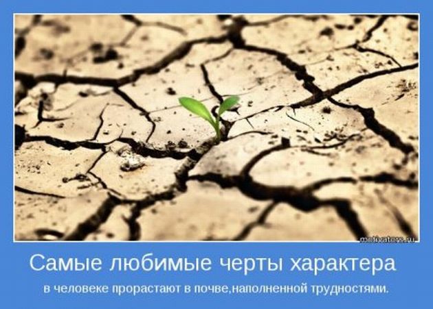 Мотиваторы 