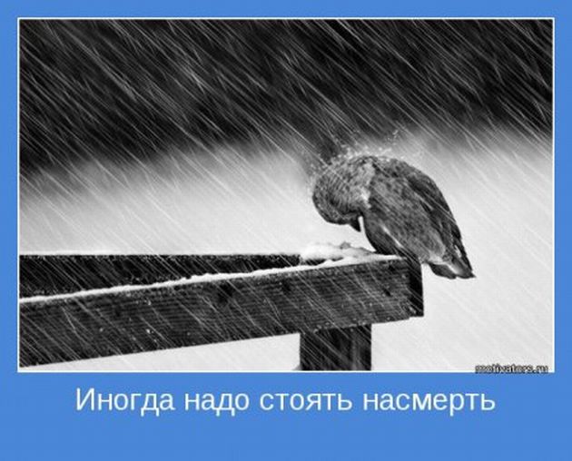 Мотиваторы 