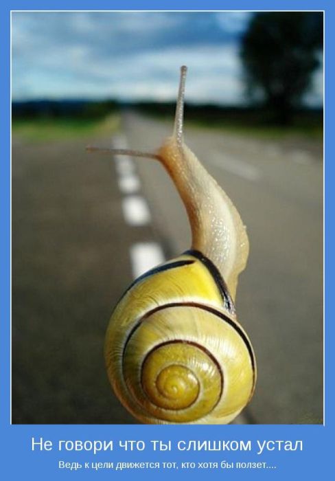 Мотиваторы 