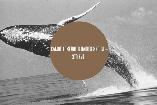 Смех продлевает жизнь.Живите вечно!