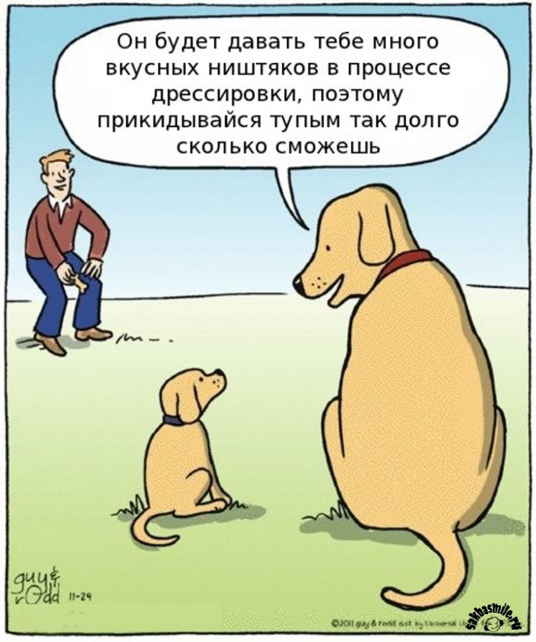 Смех продлевает жизнь.Живите вечно!