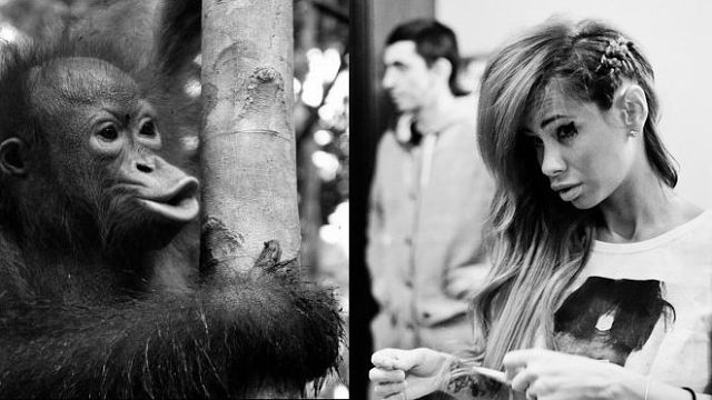 Забавные сходства звёзд