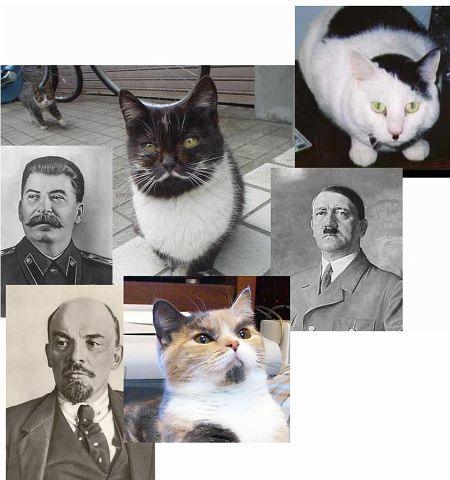 Забавные сходства звёзд