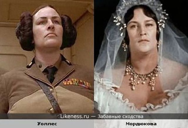 Забавные сходства звёзд