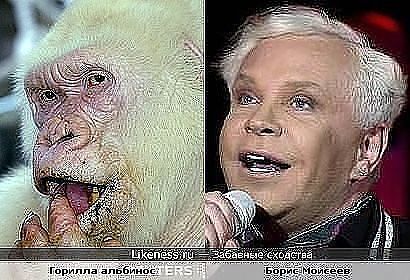 Забавные сходства звёзд