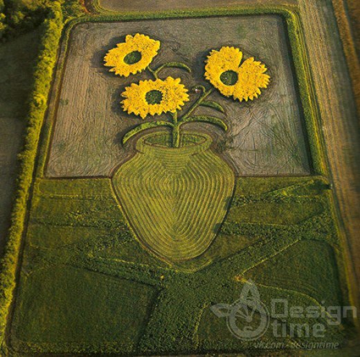 Рисунки на полях: монументальное агротворчество Стэна Херда