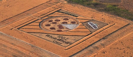 Рисунки на полях: монументальное агротворчество Стэна Херда