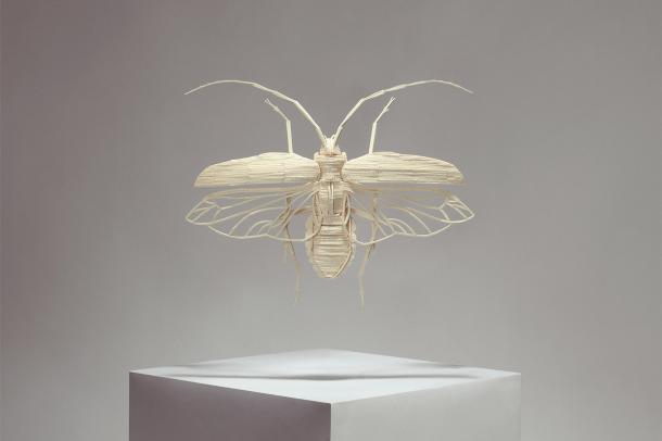 Спички, карандаши и яичная скорлупа в креативных работах от Кайла Бина Спички, карандаши и яичная скорлупа в креативных работах от Кайла Бина