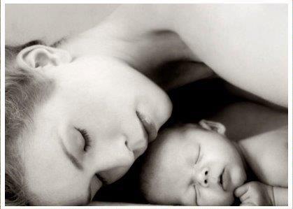 Счастливы вместе, животные