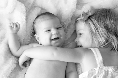 Счастливы вместе, животные