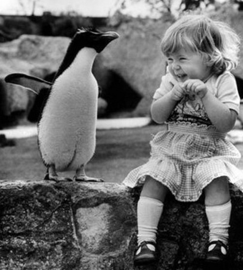 Счастливы вместе, животные