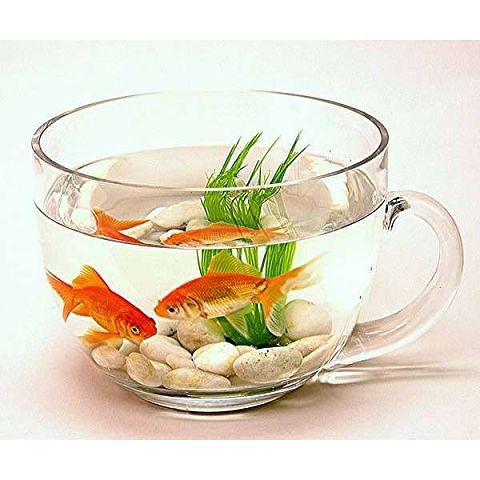 Необычные аквариумы