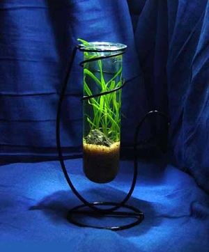 Необычные аквариумы