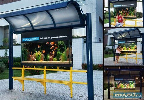 Необычные аквариумы