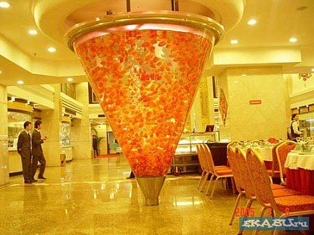 Необычные аквариумы