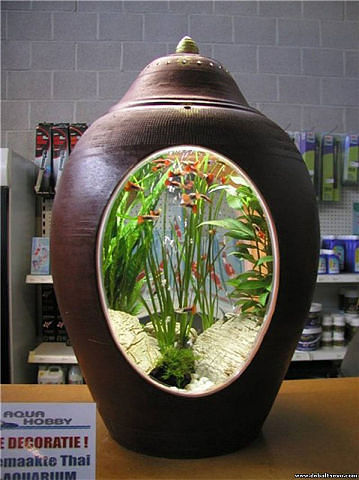Необычные аквариумы