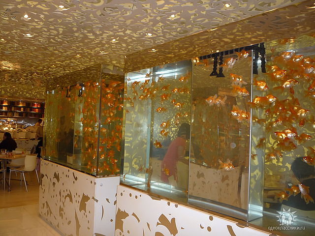 Необычные аквариумы