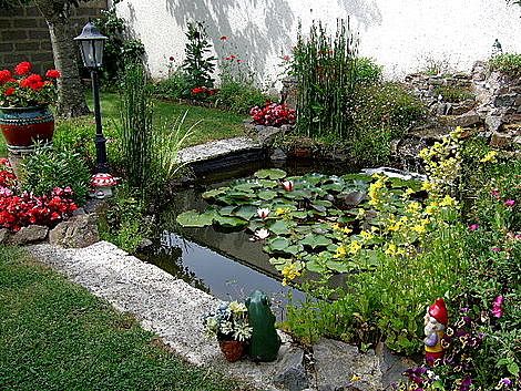 Украшения дач, дизайн, идеи, фото