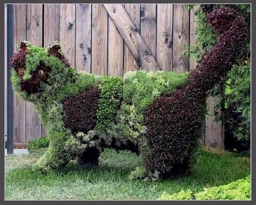 Украшения дач, дизайн, идеи, фото