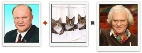 Из чего состоит знаменитость