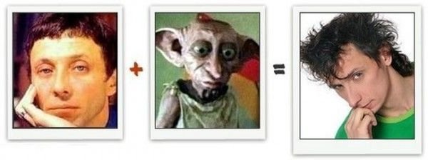 Из чего состоит знаменитость