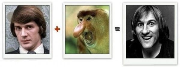 Из чего состоит знаменитость