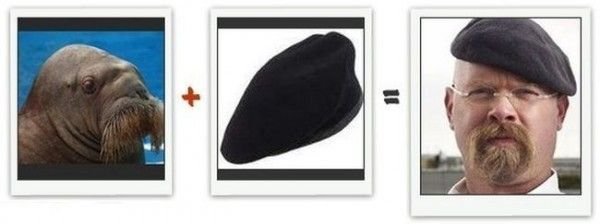 Из чего состоит знаменитость