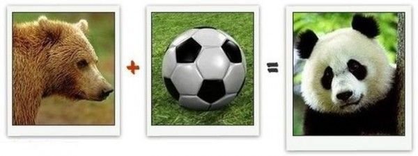 Из чего состоит знаменитость