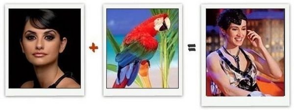 Из чего состоит знаменитость