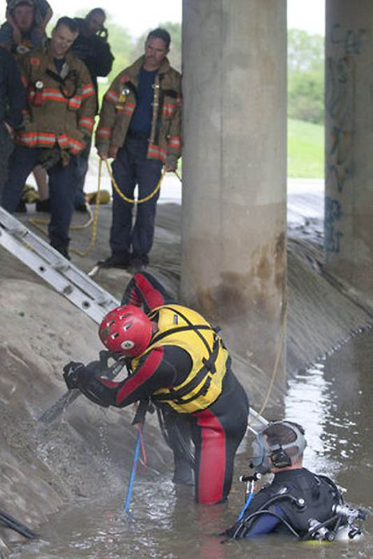 спасение ,собаки,спасатели