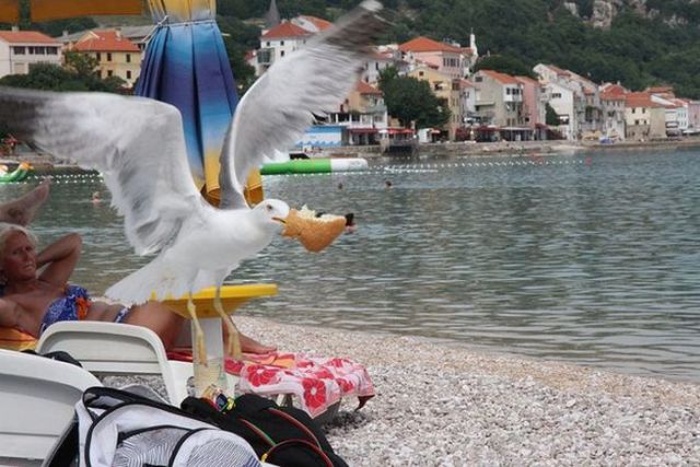 Что больше всего раздражает в отпуске