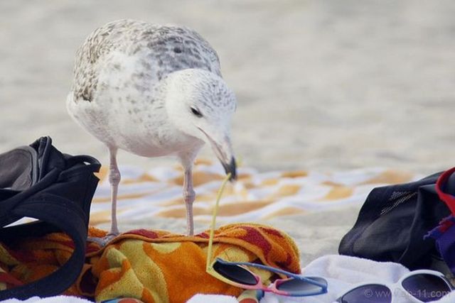 Что больше всего раздражает в отпуске