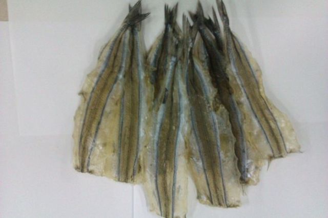 Махинации с рыбной продукцией к пиву