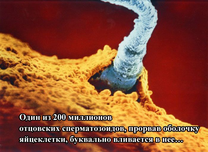 Как зарождается жизнь