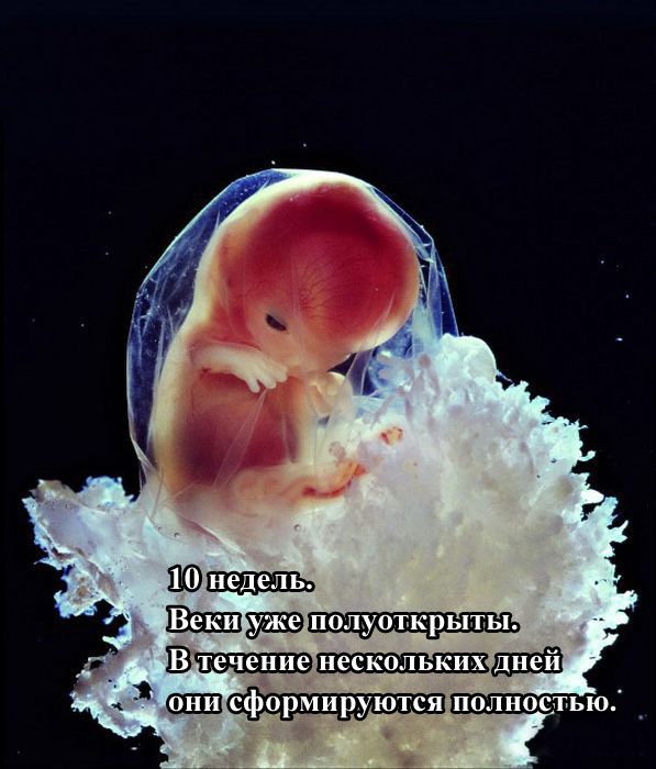 Как зарождается жизнь