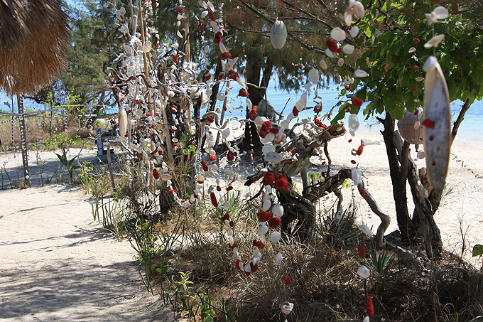 На краю Света: Молочно-бирюзовые воды Гили