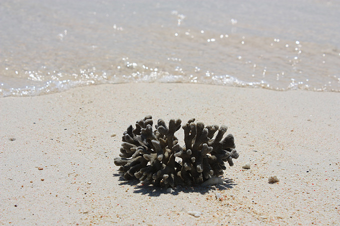 На краю Света: Молочно-бирюзовые воды Гили