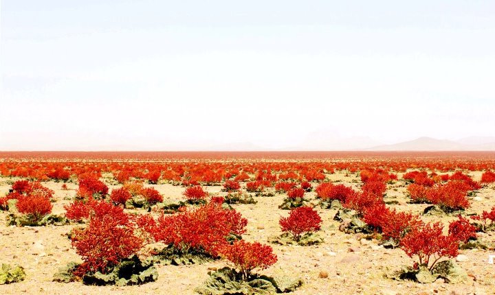 Красивые ландшафты Ирана