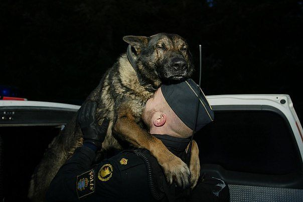 Больше, чем просто фото