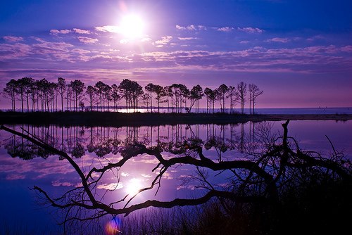 Просто картинки