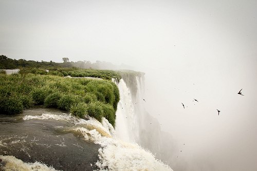 Просто картинки