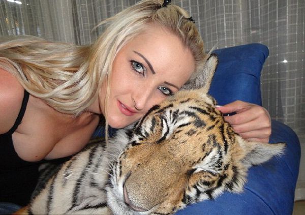 Домашний тигр, Ензо