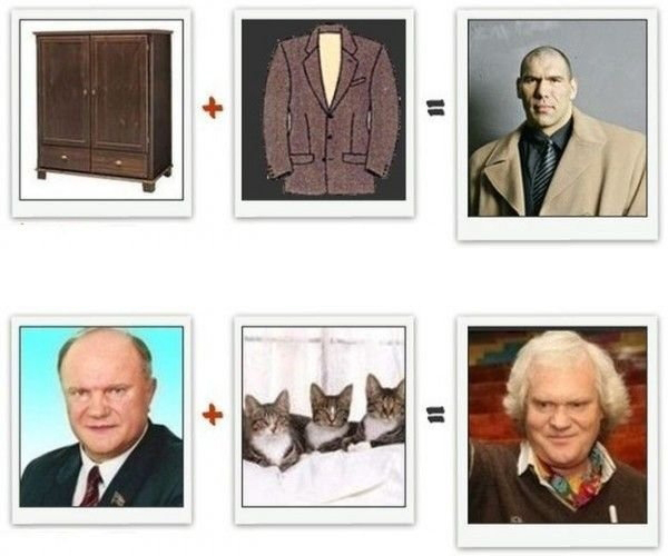 Из чего состоит знаменитость